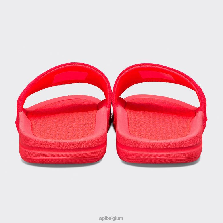 Heren groot logo techloom dia 9 406TH1100 dia\s magenta APL