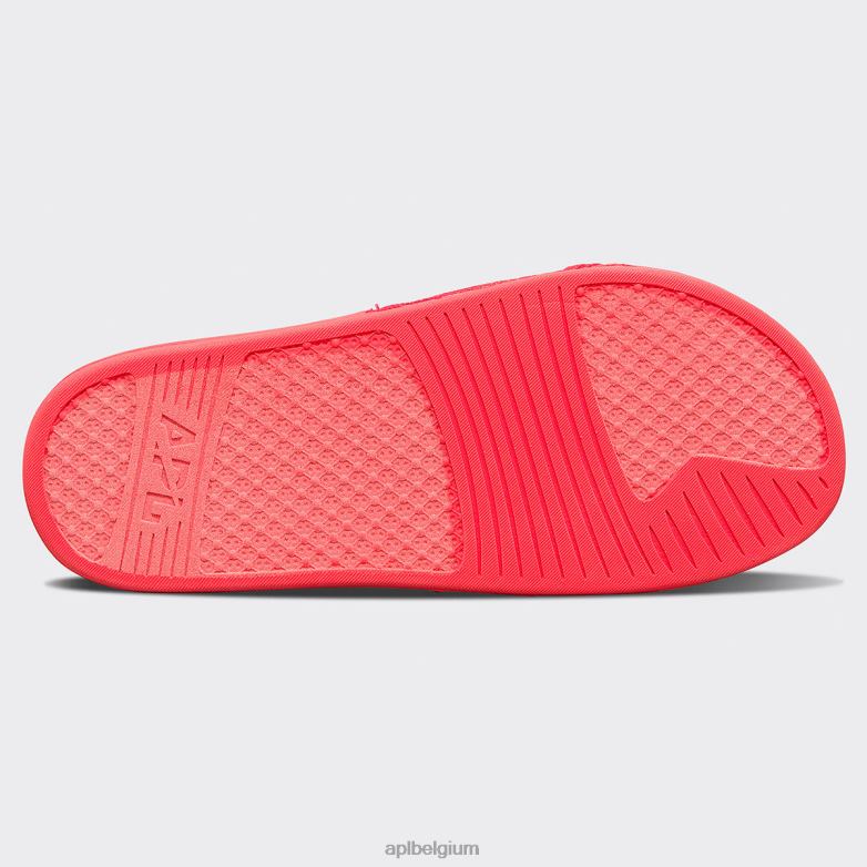 Heren groot logo techloom dia 9 406TH1100 dia\s magenta APL