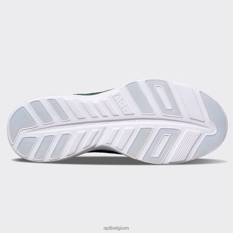 Heren techloom pro 49 406TH808 rennen mooi groen/wit APL