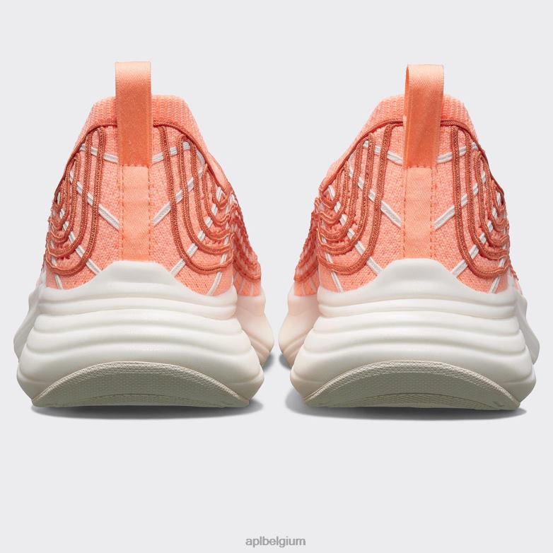 Heren techloom-zipline 69 406TH856 rennen neon perzik/terracotta/ivoor APL