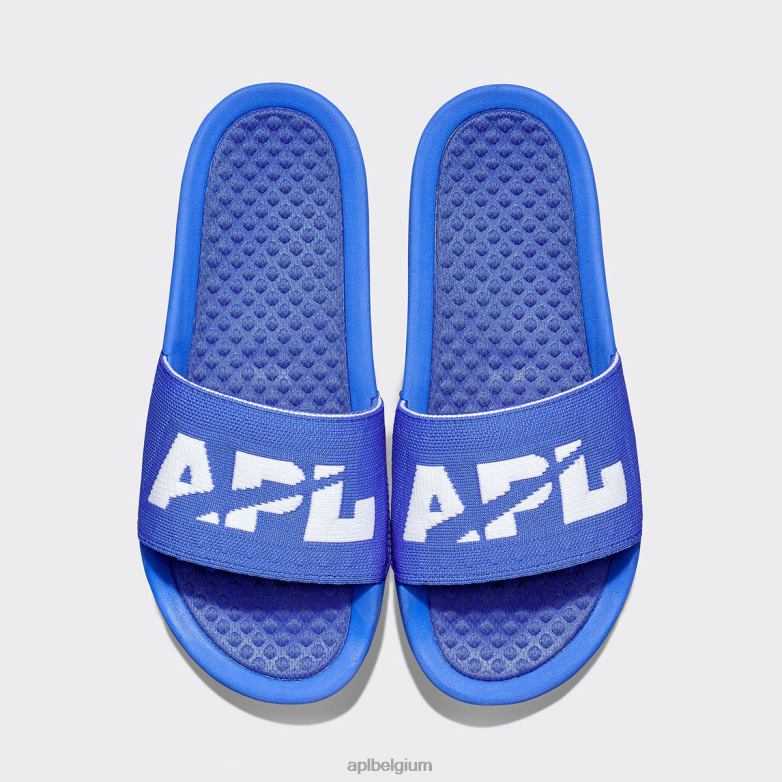 Heren groot logo techloom dia 7 406TH1039 dia's kobalt/wit APL