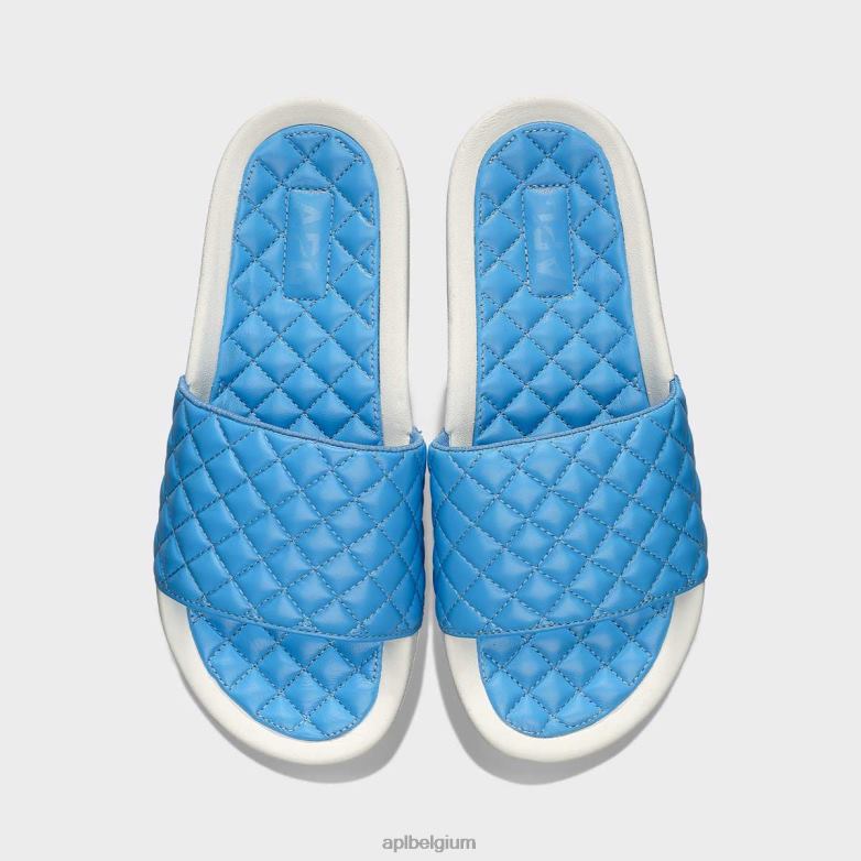 kustblauw/ivoor