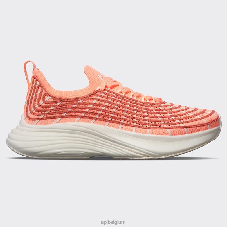 neon perzik/terracotta/ivoor